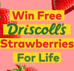 Driscolls Strawberries for Life Sweepstakes prize ilustration