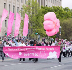 National Cherry Blossom Festival Sweepstakes prize ilustration