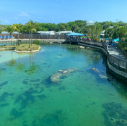 Ultimate Florida Vacation Sweepstakes